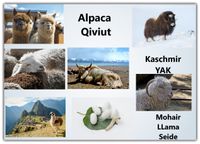 Feine Garne - Alpaca,Kaschmir, LLama,Mohair,Seide,Qiviut ökologisch sauber 6 fair